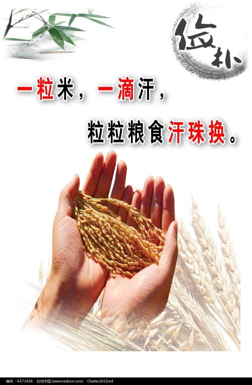 博洛尼亚大学学信网认证办理